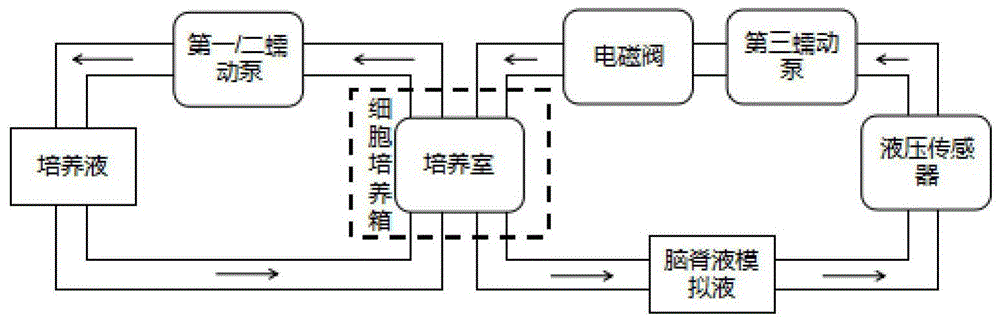 模拟脑脊液生物力学环境构建组织工程骨组织的装置的制作方法