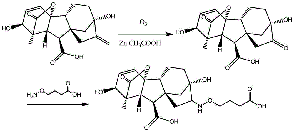 一种检测赤霉素的试纸条及方法与流程