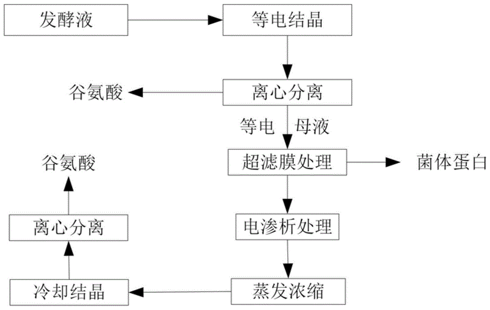 一种从谷氨酸等电母液中回收谷氨酸的方法与流程