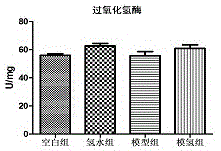 富氢水对免疫性卵巢早衰的保护作用的制作方法