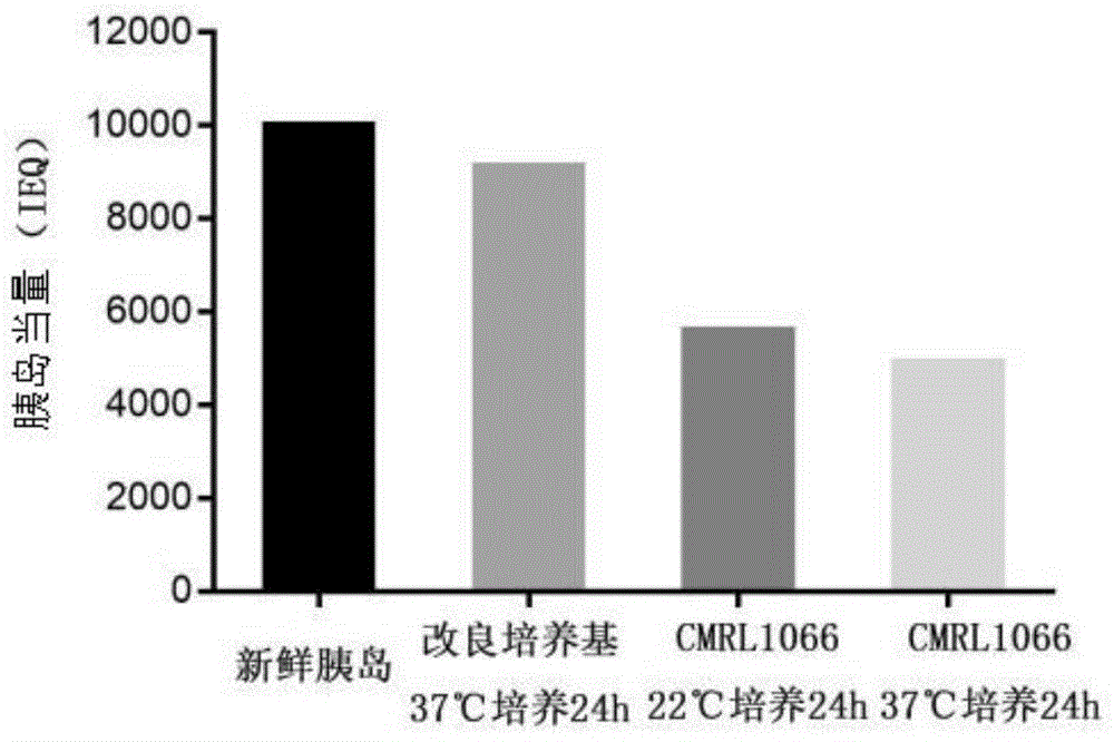 一种改良型人胰岛细胞培养基的制备及其应用的制作方法