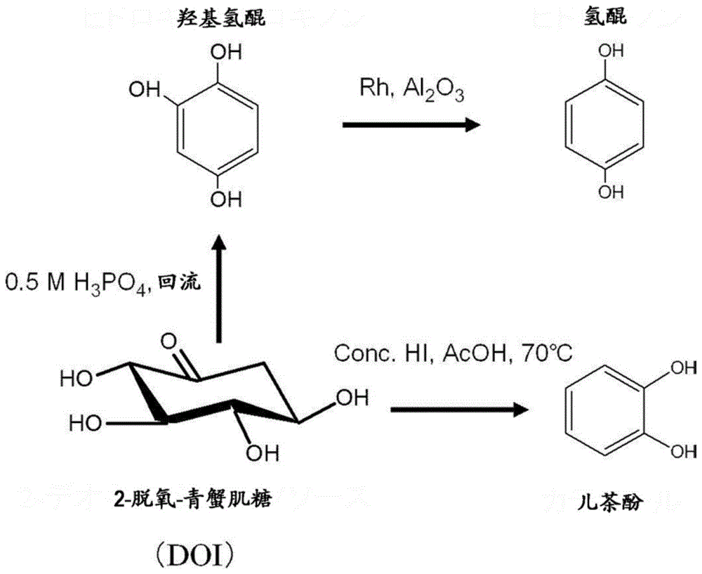 突变型2-脱氧-青蟹肌糖合酶的制作方法