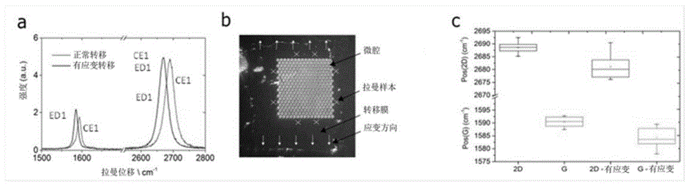 薄膜材料转移方法与流程