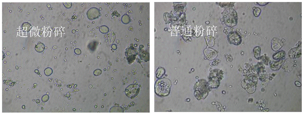 一种青稞液体奶茶及其制备方法与流程