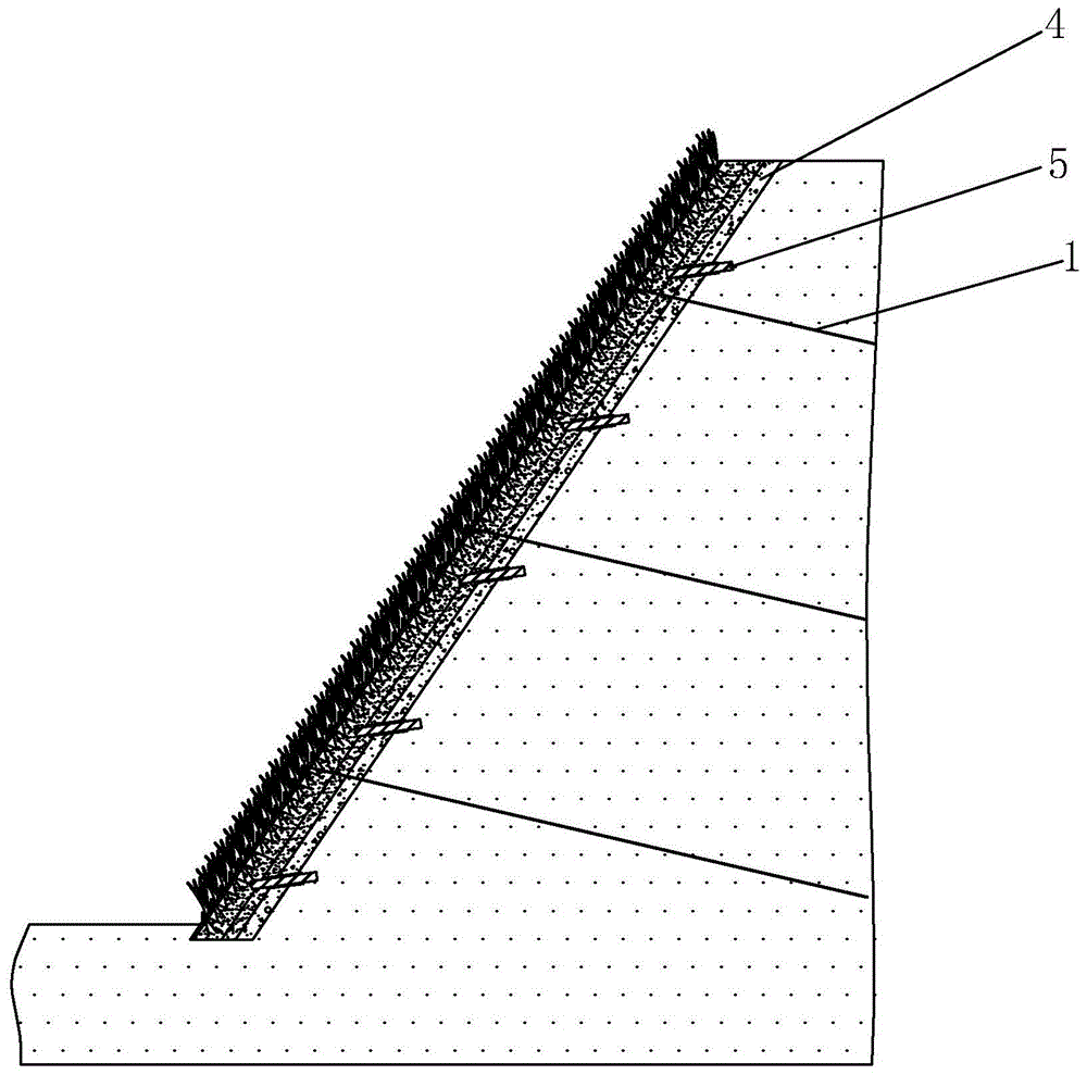 一种绿化土钉墙的施工方法与流程