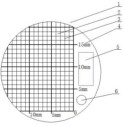 一种鱼钩测量器的制作方法