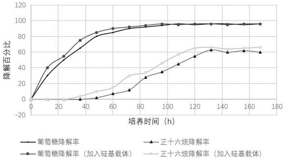 一种双亲性硅基生物载体及制备方法及应用与流程