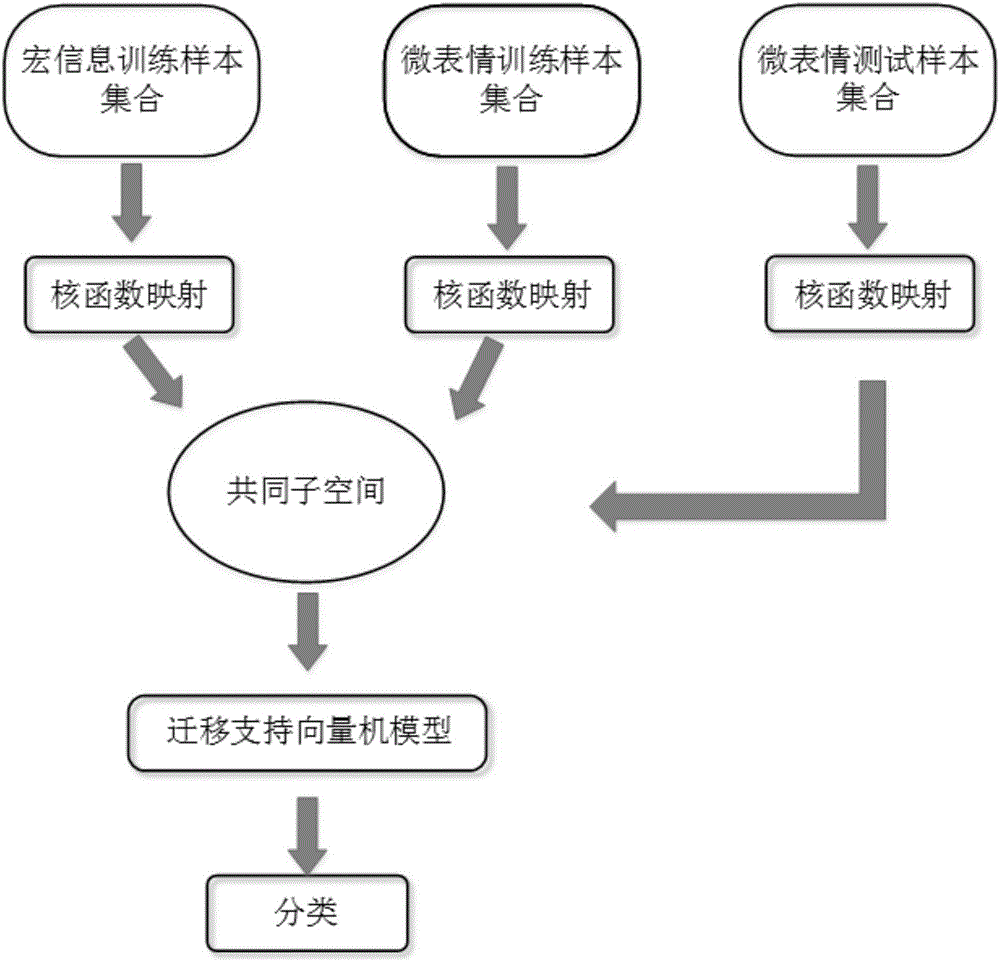 一种基于宏信息知识迁移的微表情识别方法与流程