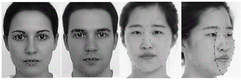 一种基于局部遮挡条件下的图像换脸方法与流程