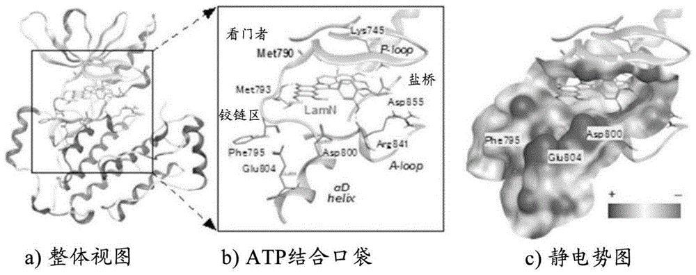 第四代EGFR酪氨酸激酶抑制剂的制作方法