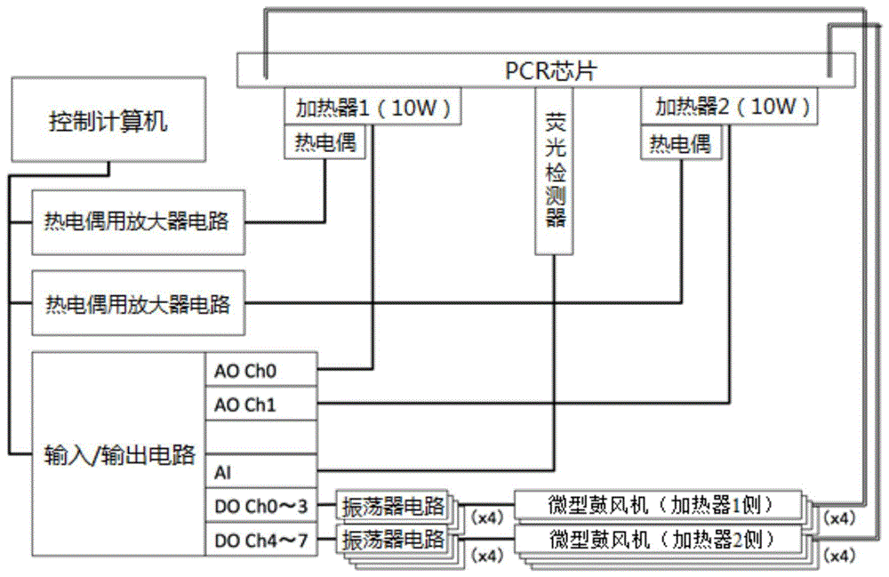 核酸扩增装置、核酸扩增方法以及核酸扩增用芯片与流程