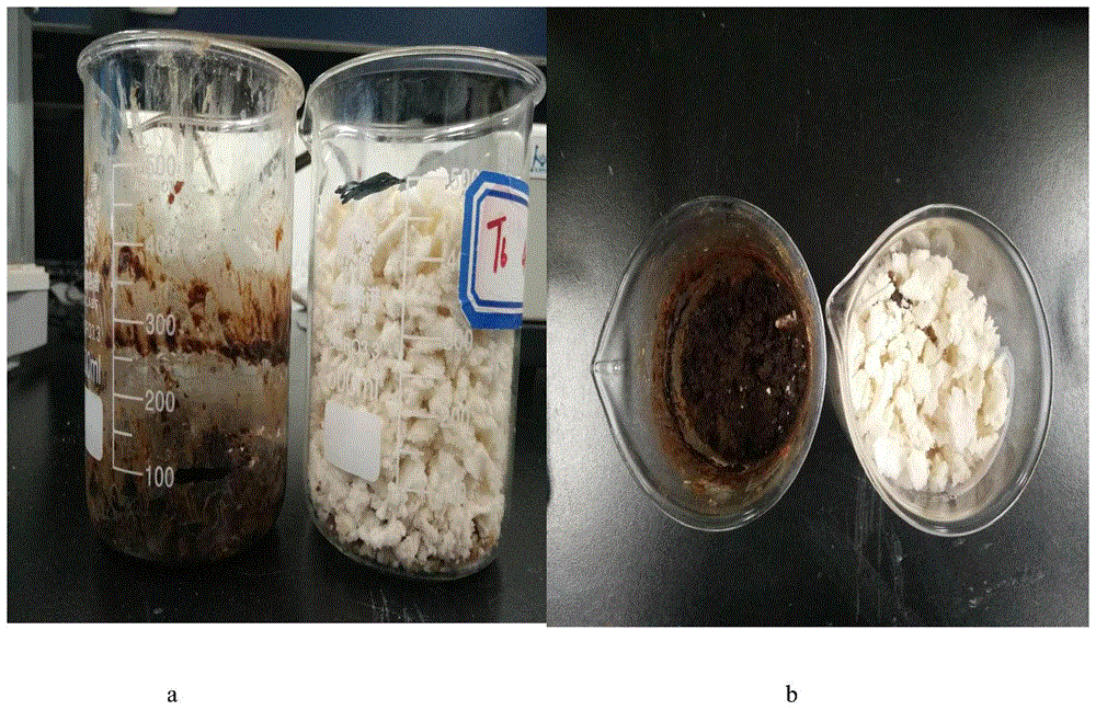 一种餐厨垃圾降解菌及应用的制作方法