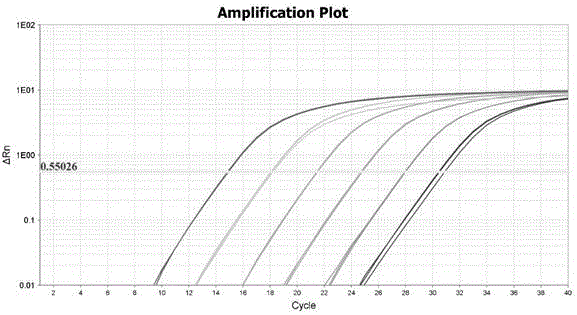 一种通用qPCR质粒定量方法及通用引物与流程