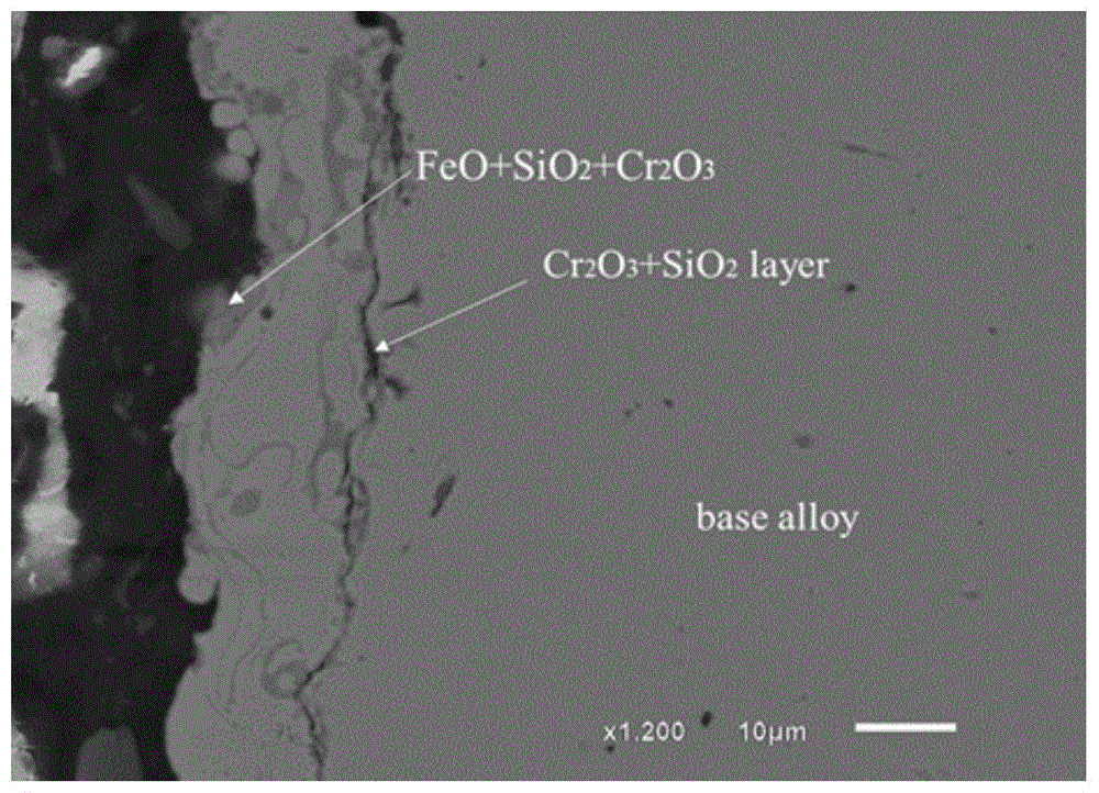 一种在Fe-Cr-Si系合金表面形成致密氧化层的方法与流程