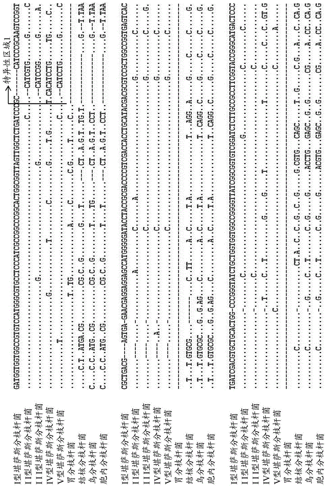 用于检测堪萨斯分枝杆菌的引物组、探针、试剂盒及方法与流程