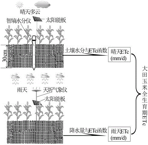 一种大田玉米蒸发蒸腾量计算方法及系统与流程