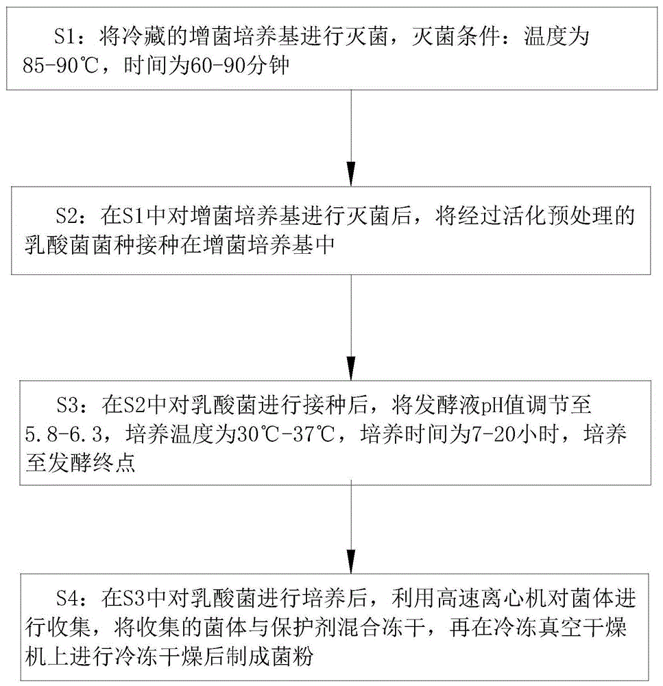 一种酸奶生产用乳酸菌菌粉的制备方法与流程