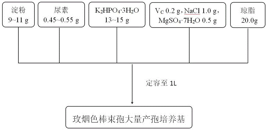 一种大量生产玫烟色棒束孢的培养基的制作方法