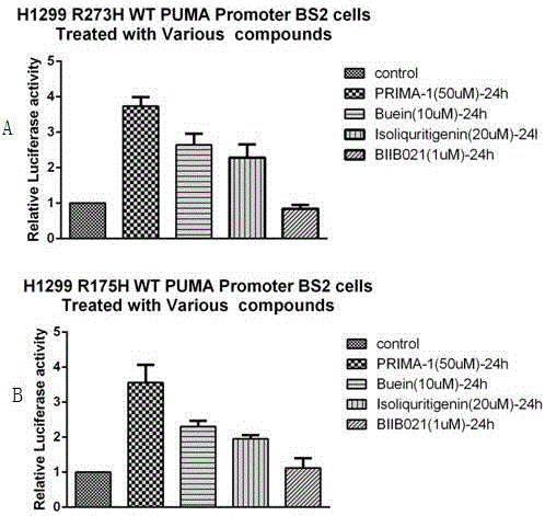 紫铆因在制备靶向恢复突变p53构象药物中的应用的制作方法