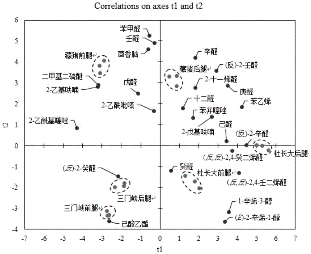 基于化学计量学分析鉴别藏猪及其肉制品的方法与流程