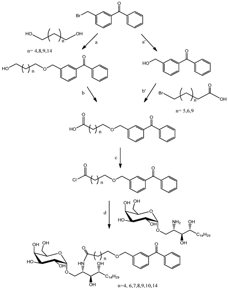 改性的糖脂及其制备和使用方法与流程