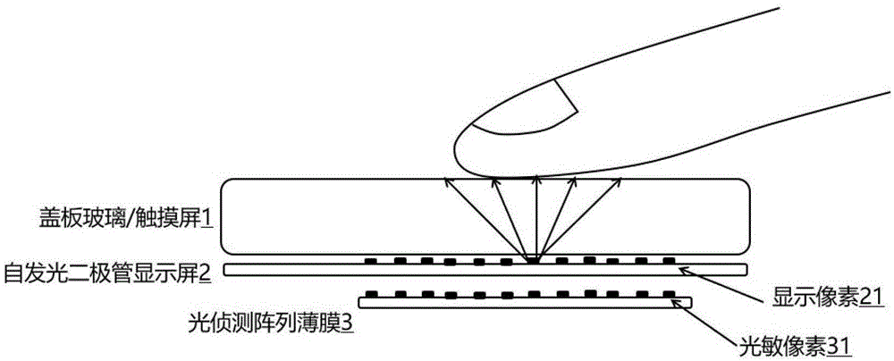 一种同步验证指纹信息的触控组件操作方法和装置与流程