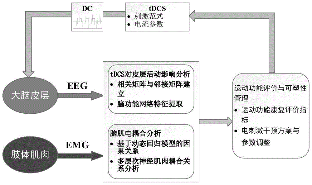 基于经颅电刺激脑肌耦合的运动障碍皮层可塑性管理方法与流程