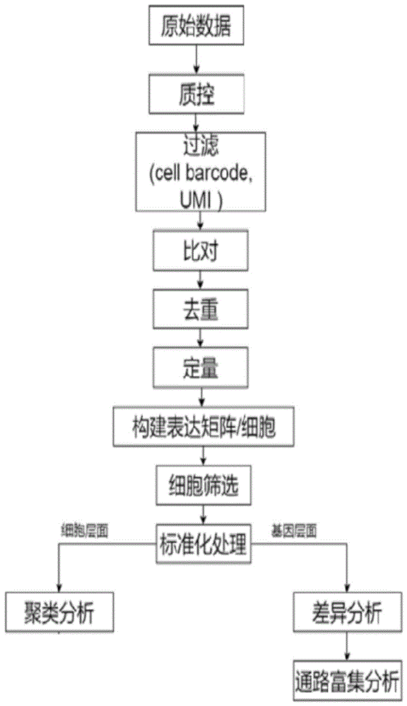 分类预处理与选购技巧大公开 烘干机护衣秘籍 (预处理包含的内容)