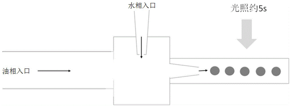 一种载有ICIs单抗的载药微球及其制备方法与流程