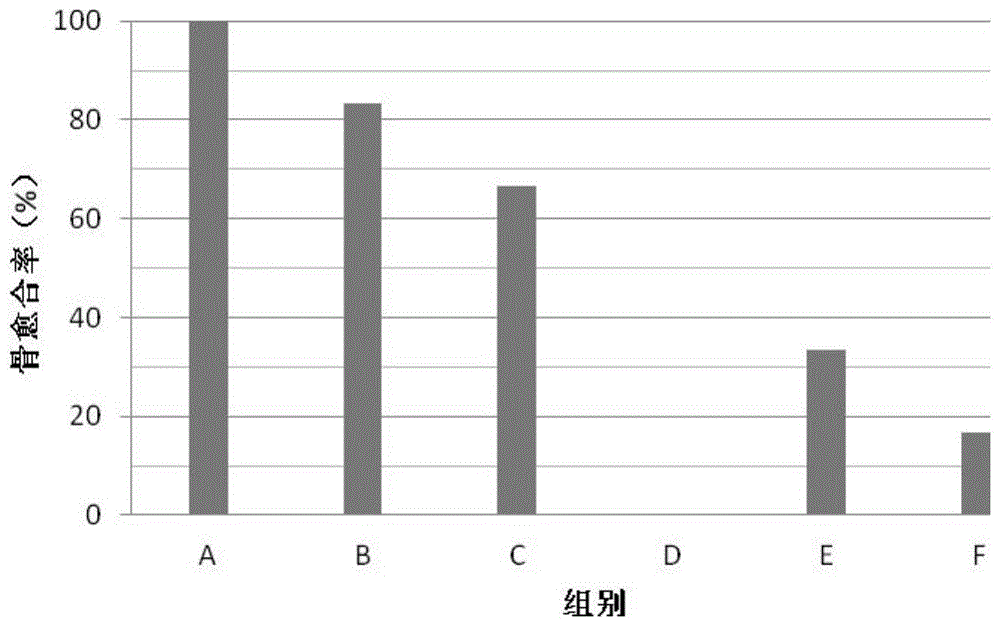 一种骨再生材料的制备方法与流程