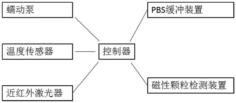 一种自动控制模拟生物体循环的磁靶向治疗装置的制作方法