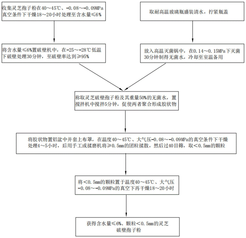 一种灵芝破壁孢子粉简易成粒方法与流程