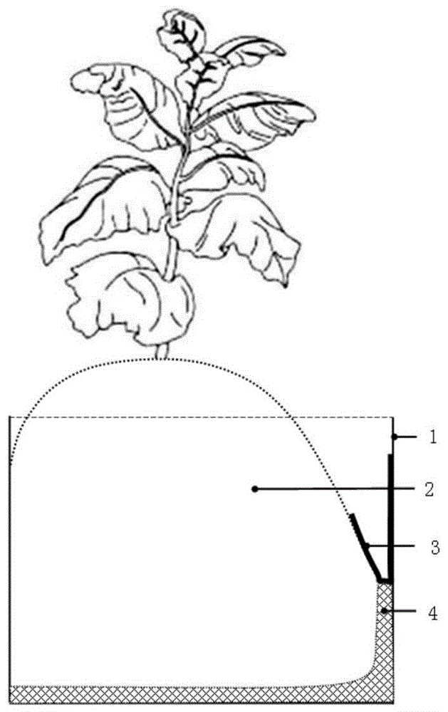有机烟草盆栽试验种植结构的制作方法