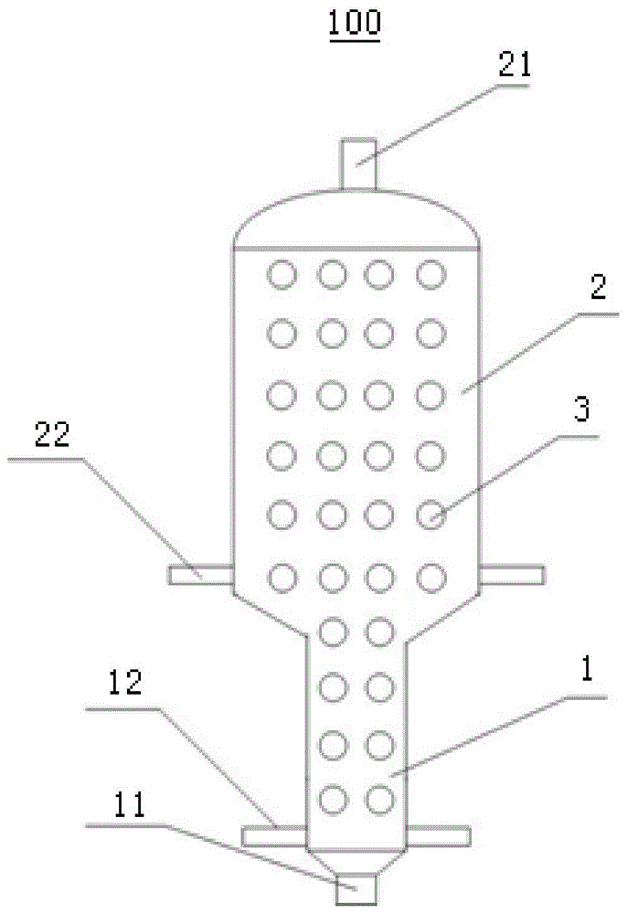 生物质与煤共热解反应器的制作方法