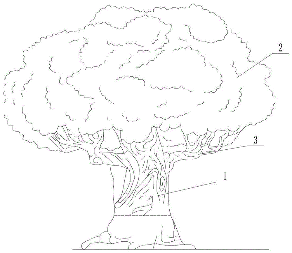 一种仿真大型古桩景快速成型制作的方法与流程