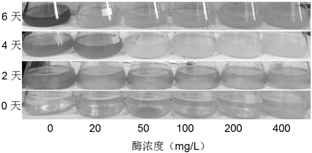 藻毒素降解酶在抑制蓝藻及降解藻毒素方面的应用的制作方法