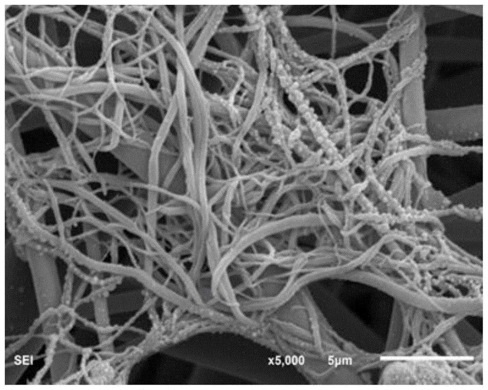 一种表面含有纳米凸起结构的纳米纤维及其制备方法与流程