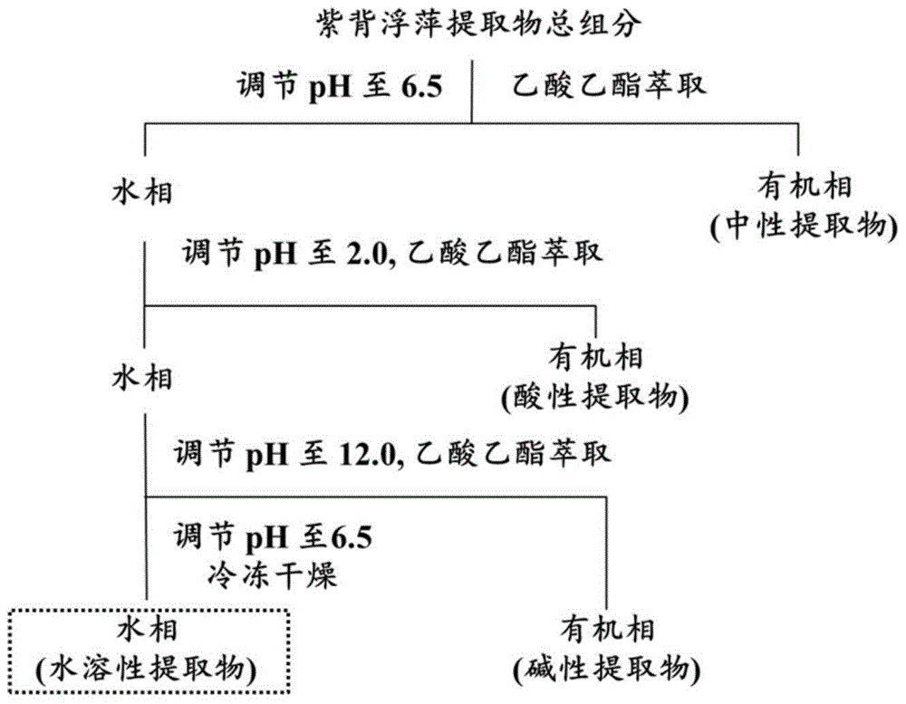 紫背浮萍水溶性提取物在促进反硝化微生物反硝化活性中的应用的制作方法