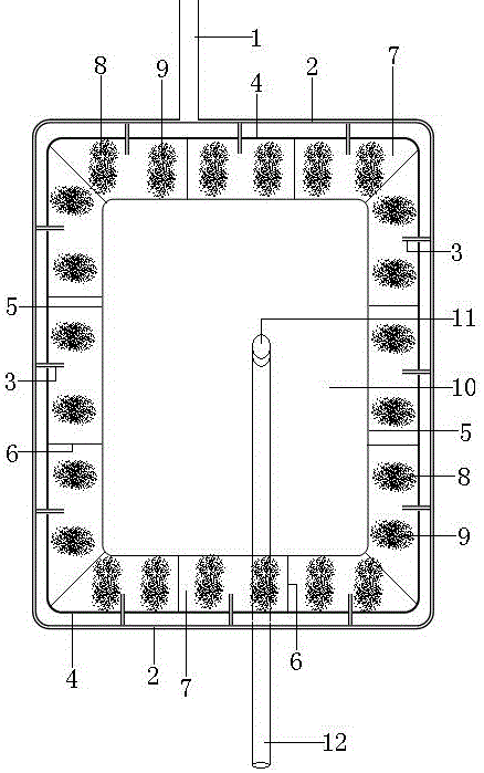 一种大鲵与饵料共生养殖池的制作方法