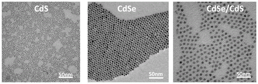 核壳量子点制备方法、量子点光电器件与流程