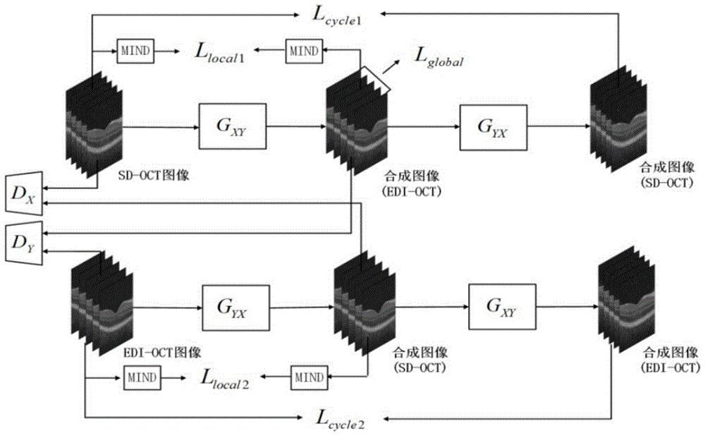 一种基于无监督对抗神经网络的SD-OCT去噪方法与流程