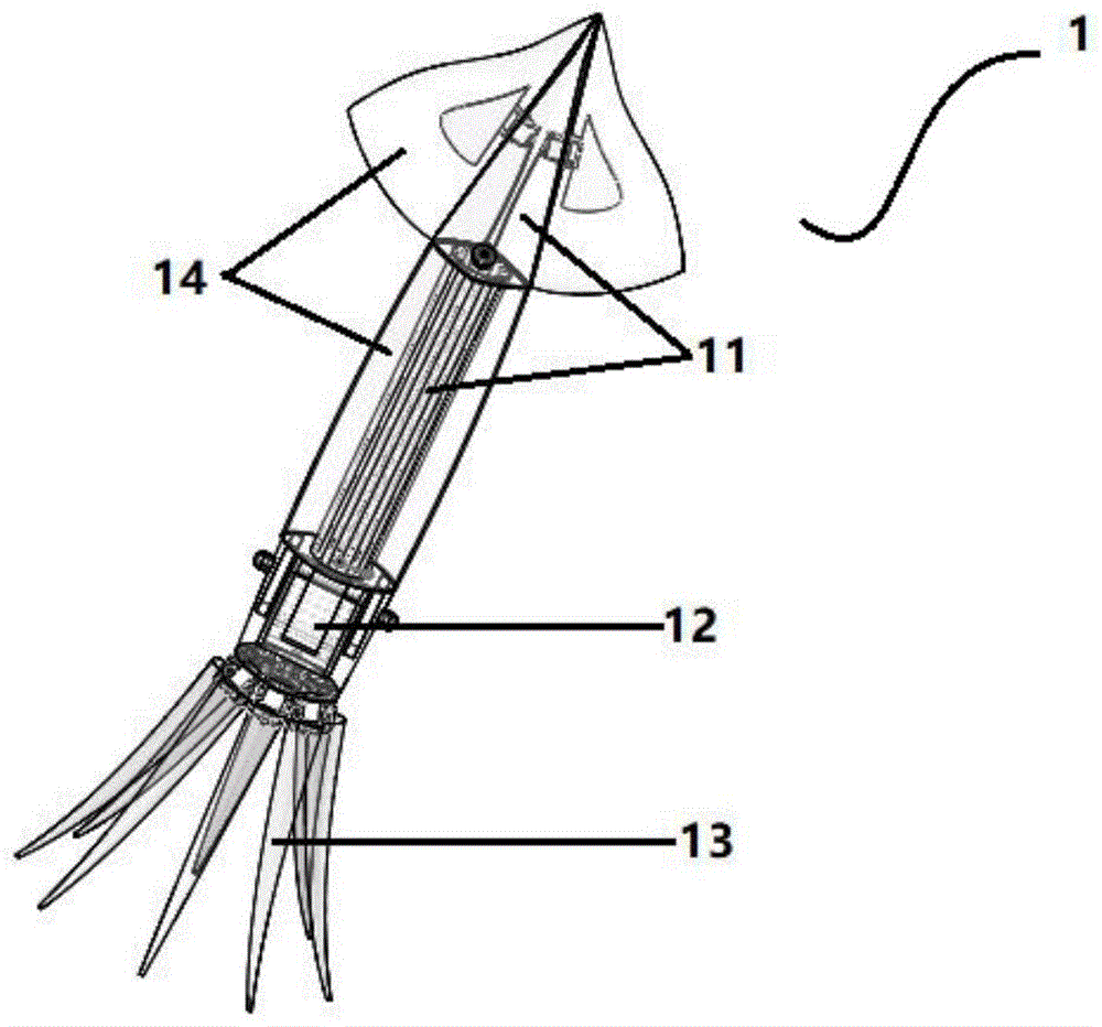 一种仿生线驱动腕乌贼的制作方法