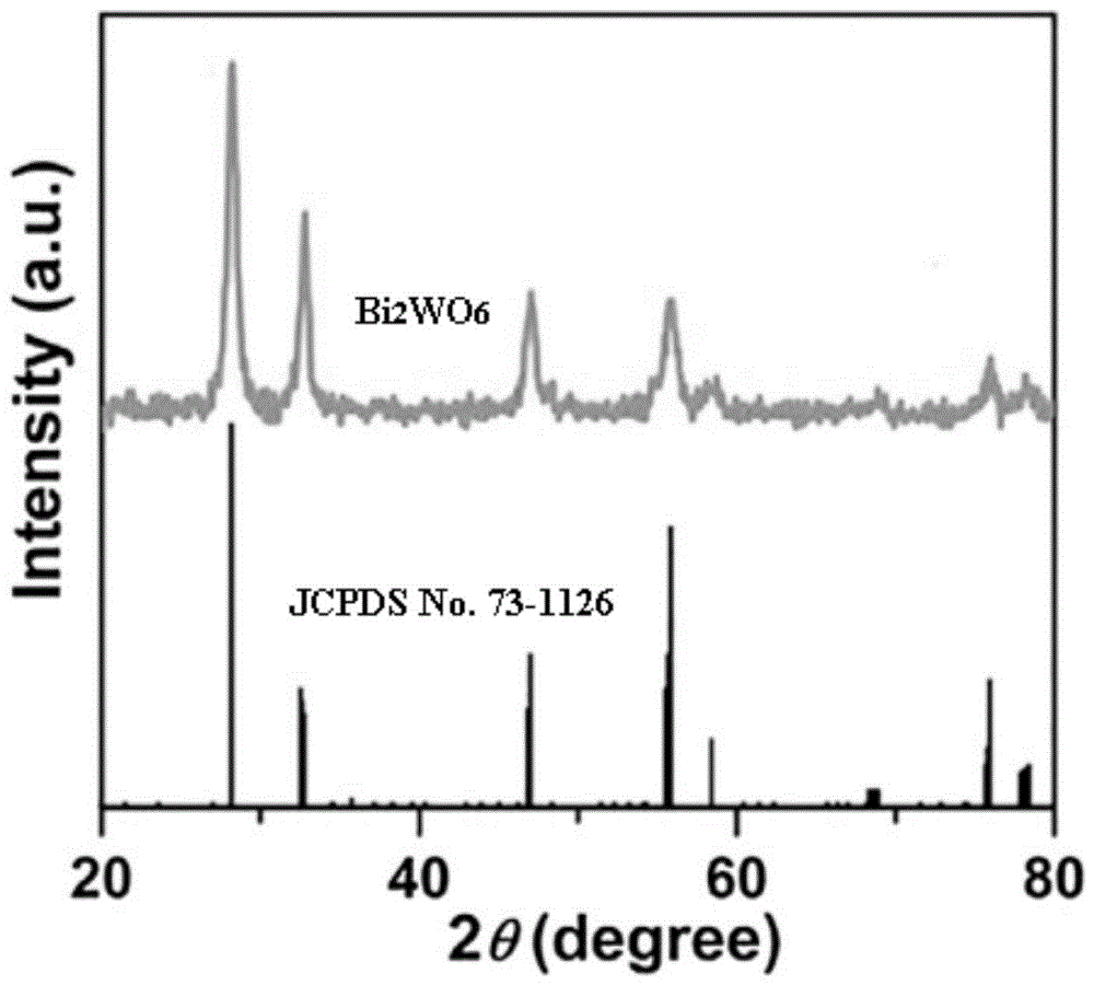 一种钨酸铋可见光催化剂的制备方法及钨酸铋可见光催化剂的应用与流程