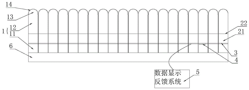 一种用于定制型足垫设计的足部信息采集系统的制作方法