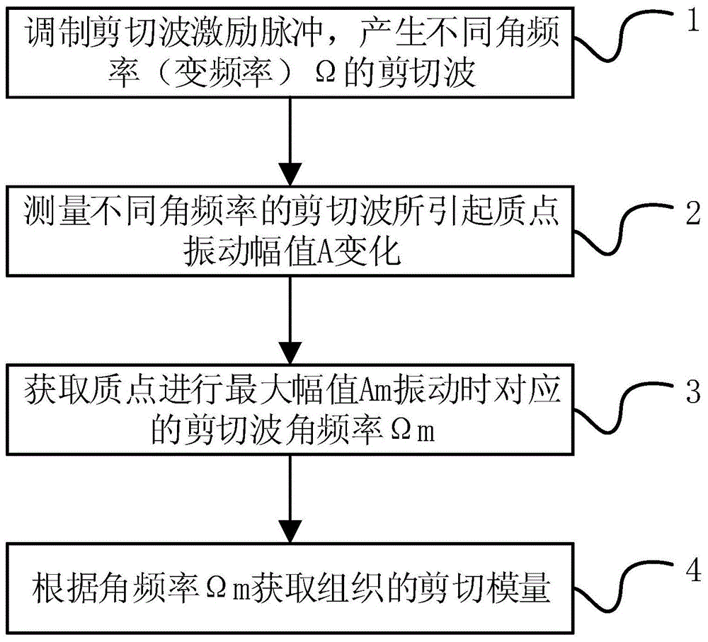 一种基于多频剪切波幅值分析的超声弹性成像技术的制作方法