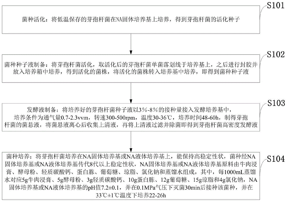 一种芽孢杆菌菌株及其制备方法和应用与流程