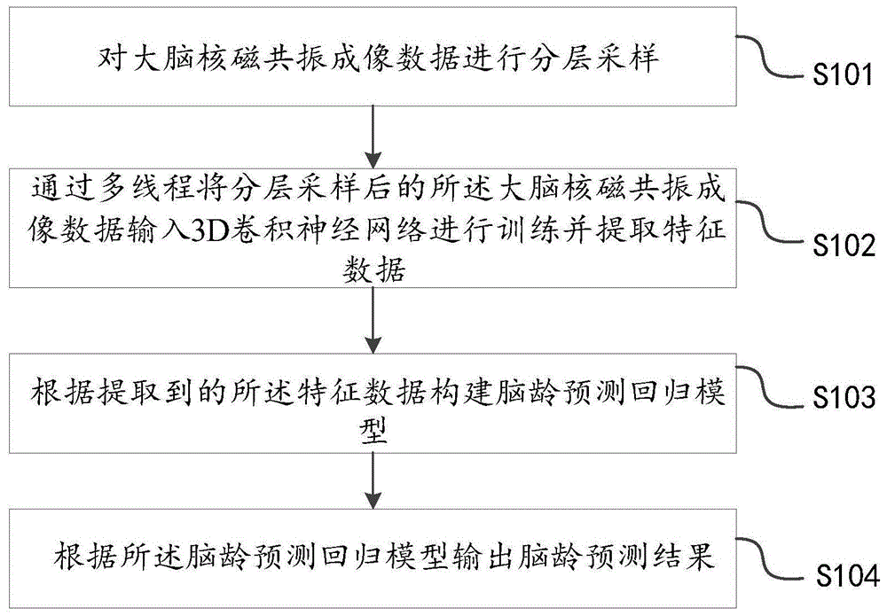 基于3D卷积神经网络的脑龄预测方法及装置与流程