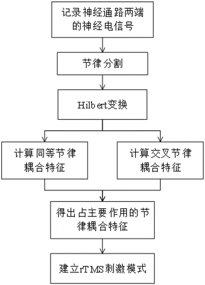 一种根据节律耦合特征建立经颅磁刺激模式的方法与流程