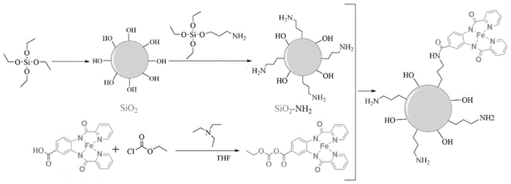 双吡啶酰胺铁负载纳米二氧化硅异相催化剂的制备方法和应用方法与流程