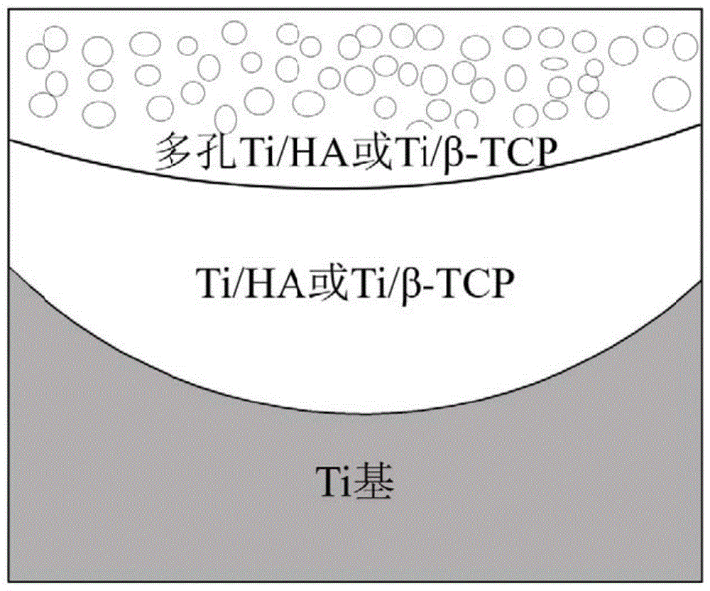 一种表面多孔钛基功能梯度材料及其制备方法与流程